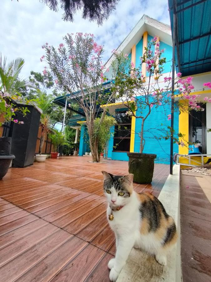 بانيووانجى Omah Mendut Homestay المظهر الخارجي الصورة